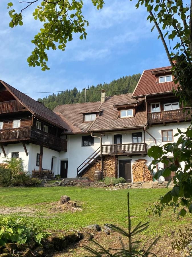 Gailtal Appartements Naehe Skigebiet Wertschach Kültér fotó